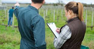 Les agriculteurs et exploitants agricoles à Ruffec bénéficient d'un accompagnement comptable spécialisé, adapté aux spécificités du secteur agricole. Ce service inclut la gestion des subventions, des investissements et de la fiscalité agricole, pour optimiser la rentabilité et assurer la conformité aux réglementations.